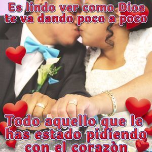 Meet your Posher, Luis